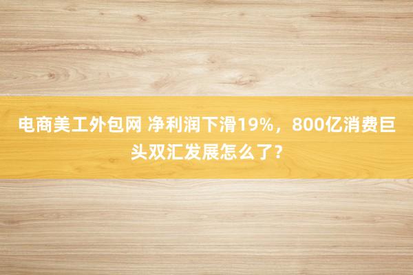 电商美工外包网 净利润下滑19%，800亿消费巨头双汇发展怎么了？