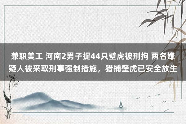 兼职美工 河南2男子捉44只壁虎被刑拘 两名嫌疑人被采取刑事强制措施，猎捕壁虎已安全放生