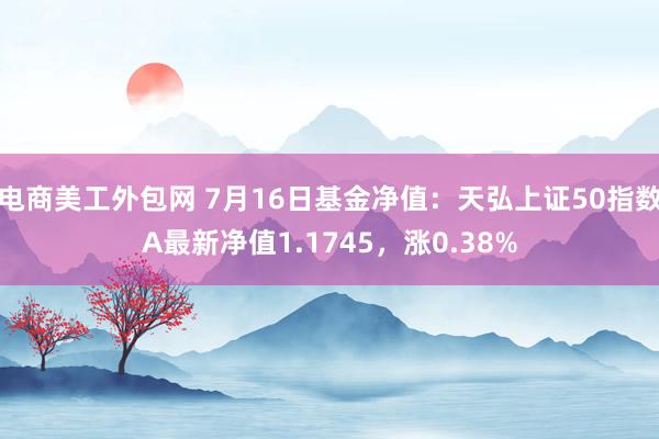 电商美工外包网 7月16日基金净值：天弘上证50指数A最新净值1.1745，涨0.38%